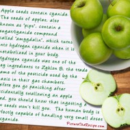 Apple Seeds Contain Cyanide