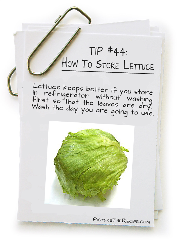 Click Here for store lettuce
