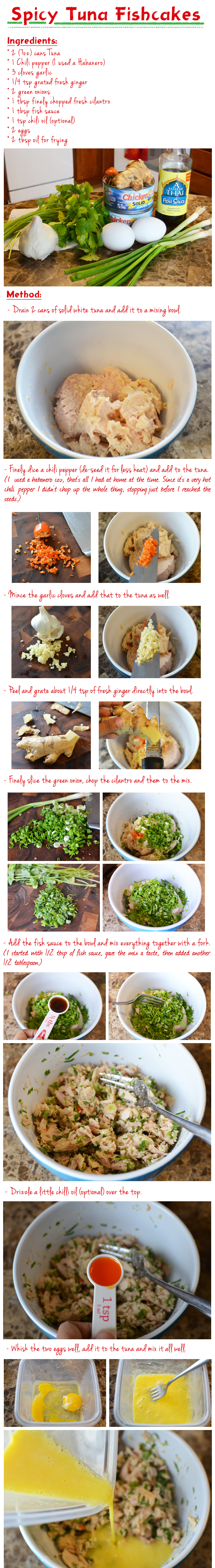 Spicy Tuna Fishcakes Recipe Part-1