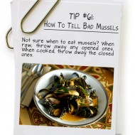 How To Tell Bad Mussels
