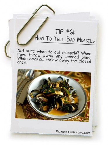 How To Tell Bad Mussels