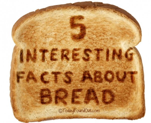 Fascinating Facts About Bread