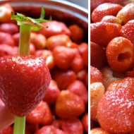 Hulling Strawberries